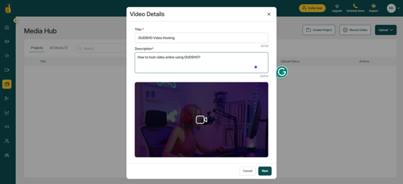 online video hosting