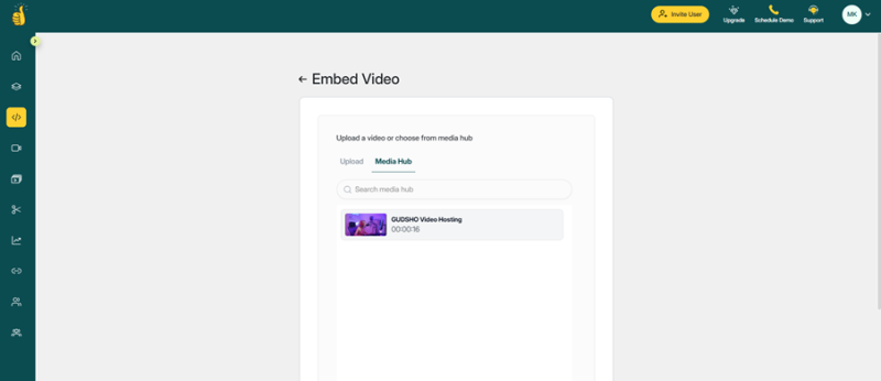 business video hosting
